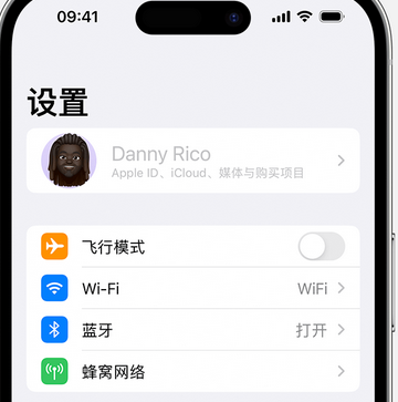 利津appleID维修服务iPhone设置中Apple ID显示为灰色无法使用 