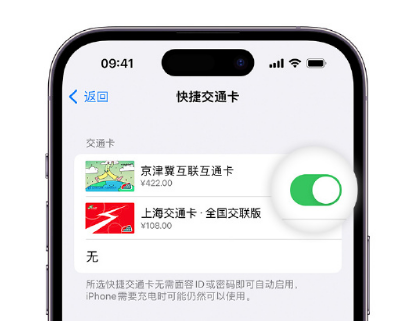 利津apple维修点分享iPhone上更换Apple Pay快捷交通卡手绘卡面 