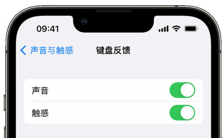 利津苹果手机维修分享iPhone 14触感键盘使用方法 