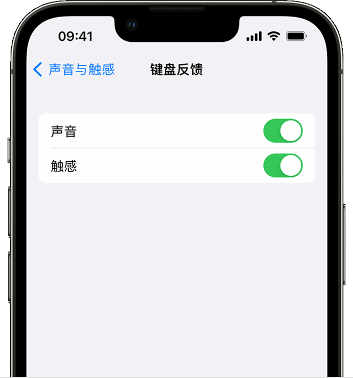 利津苹果14维修店分享如何在 iPhone 14 机型中使用触感键盘 