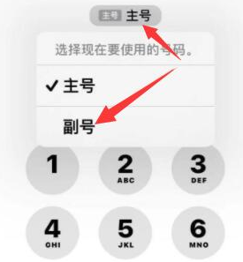 利津苹果14维修店分享iPhone 14 Pro Max使用副卡打电话的方法 