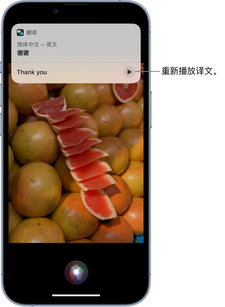 利津苹果14维修分享 iPhone 14 机型中使用 Siri：了解 Siri 能帮你做什么 