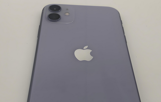 利津苹果11系统维修分享iPhone11手机系统崩溃无法开机如何解决 